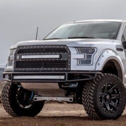 EX_Q80_W420_H315_C_IMAGES_IMG_NFB_GALLERY-1000X700_LBMBUMPERLIGHTMM1